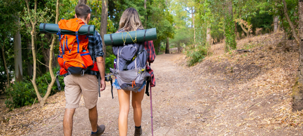 can you bring hiking sticks on a plane