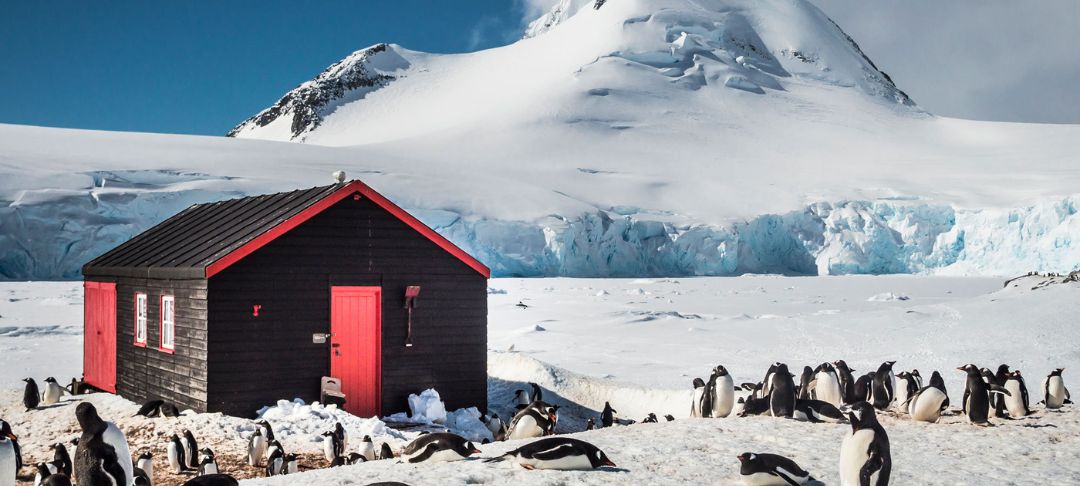 How to Book a Trip to Antarctica